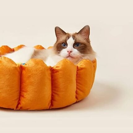 Cama FOFOS Fruite para Gatos Pie Bed