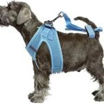 Pawise Arnés de tela air mesh con correa