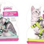 ARNES P/GATO NEON CON CORREA - TALLE S