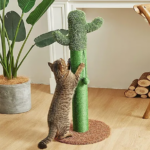 PAWISE Rascador Cactus