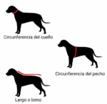 Campera impermeable con polar y accesorio para correa - Imagen 3