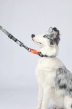 MPETS COLLAR ANTI-TIRO WILD JUNGLE - Imagen 6