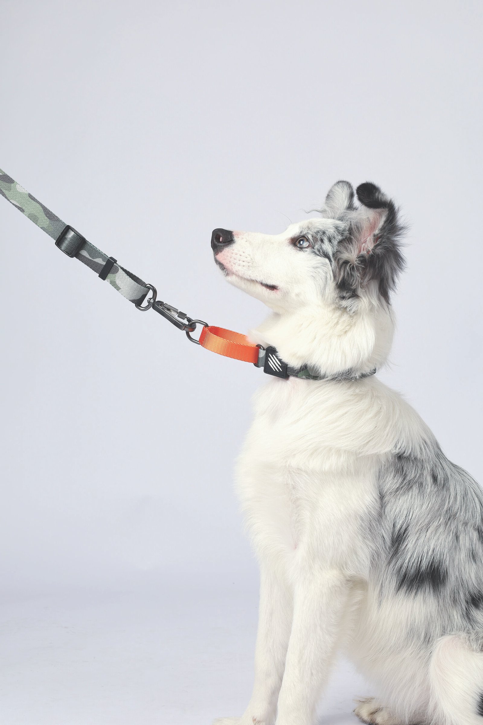 MPETS COLLAR ANTI-TIRO WILD JUNGLE - Imagen 6