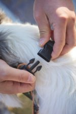 MPETS COLLAR BANDANA JUNGLE - Imagen 7