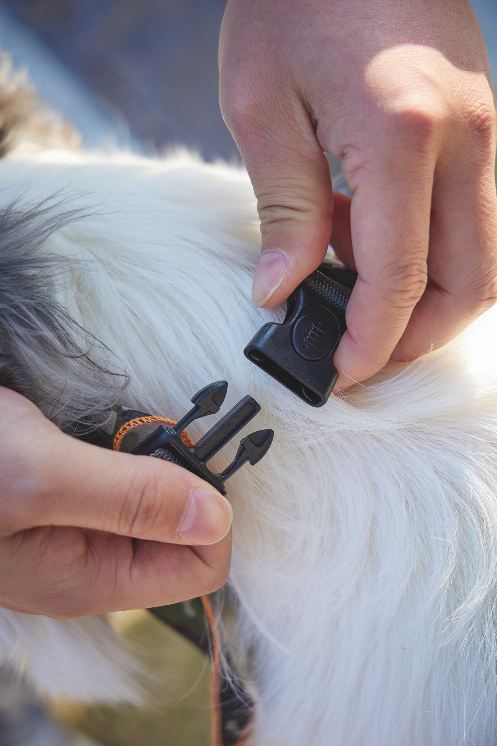MPETS COLLAR BANDANA JUNGLE - Imagen 7