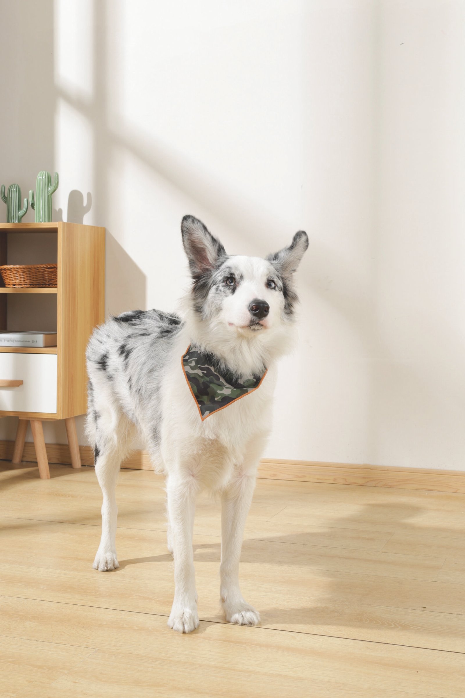 MPETS COLLAR BANDANA JUNGLE - Imagen 4