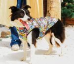 Campera impermeable MPets Gentle dog Winter jacket Multicolor - Imagen 3