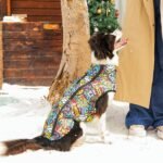 Campera impermeable MPets Gentle dog Winter jacket Multicolor