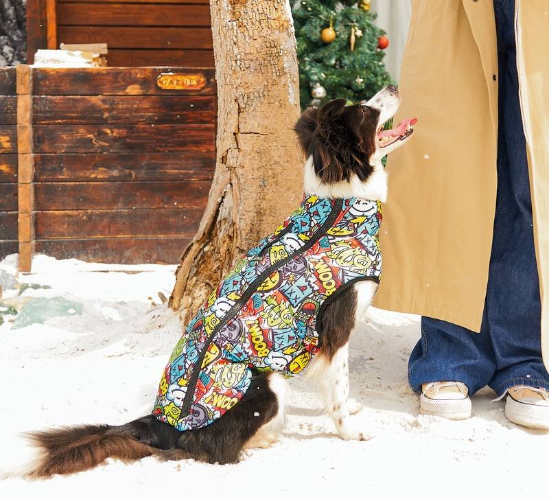 9d051cd8-0585-11f0-b016-3aba3f4249eb Campera impermeable MPets Gentle dog Winter jacket Multicolor - Imagen 1