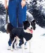 Campera impermeable MPets Gentle dog Winter jacket Negro y azul - Imagen 8