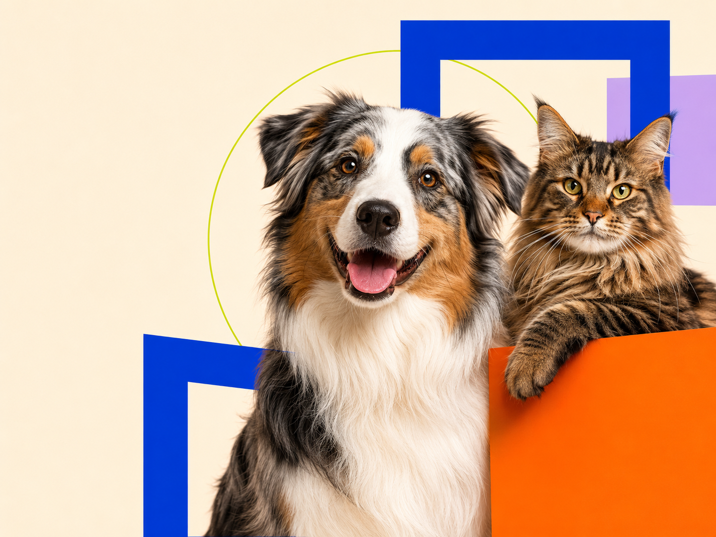 Perro y gato de Almacén de Mascotas